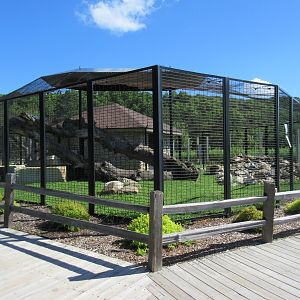 Cat Complex: Cougar Exhibit