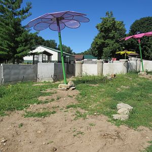 Burrowing Animals: Black-tailed Prairie Dog Exhibit (New in 2018)