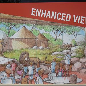 Future Plans - $5 Million Lion Exhibit + Restaurant Expansion