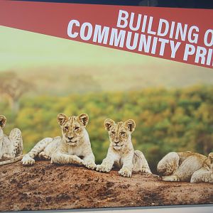 Future Plans - $5 Million Lion Exhibit + Restaurant Expansion