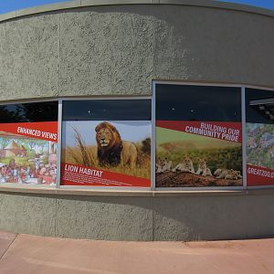 Future Plans - $5 Million Lion Exhibit + Restaurant Expansion