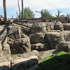 Japanese Macaque Exhibit (New in 2013)