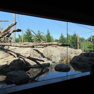 Japanese Macaque Exhibit (New in 2013)