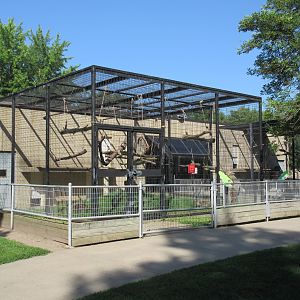 Primate House (5 Species)