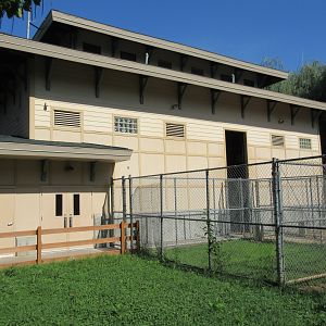 Giraffe Barn (with 5 species inside)