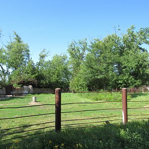Rare Rhinos of Africa: Black Rhino Exhibit #1