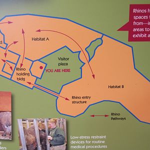 Rare Rhinos of Africa: Black Rhino Exhibit Map