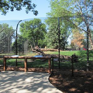 Fortress of the Bears: Grizzlies (New in 2018)