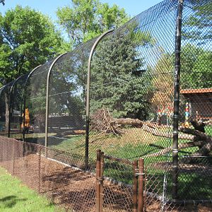 Fortress of the Bears: Grizzlies (New in 2018)