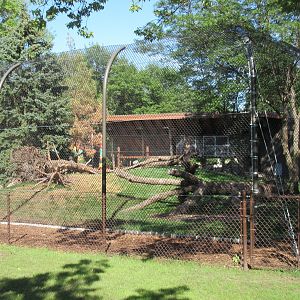 Fortress of the Bears: Grizzlies (New in 2018)