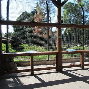 Fortress of the Bears: Grizzlies (New in 2018)