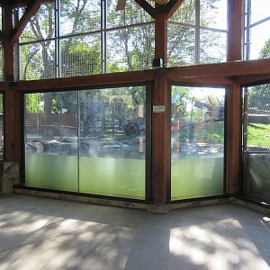 Fortress of the Bears: Grizzlies (New in 2018)