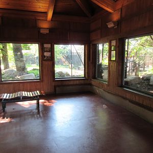 Asian Cats - Amur Tiger + Snow Leopard Viewing Area