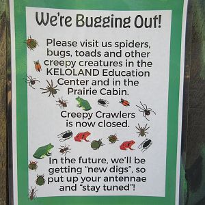 Future Bug House Plans???