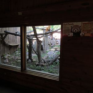 Red Panda Exhibit