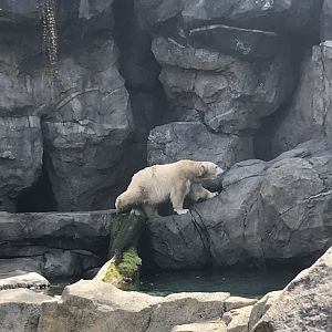 Apr. 2018: Kroger Lord’s of the Arctic