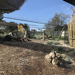 Second snow leopard enclosure