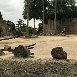 Giraffe and zebra enclosure