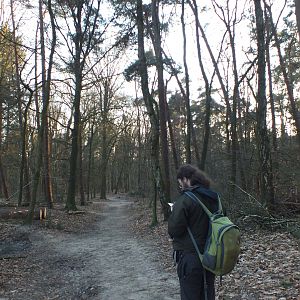 A Tea-Loving Dave walking through the forests of Park Zijpendaal