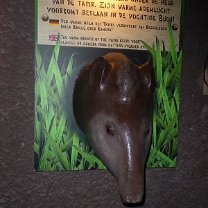 An amusing means of preventing condensation on glasses and camera alike!