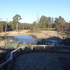 View over the main mixed paddock within Safari