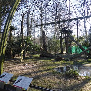Bird of prey aviary