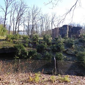 Exhibit for Sumatran Tiger