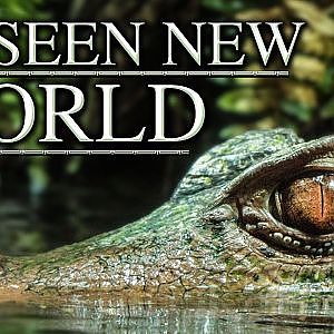 Zoo Tours: The Unseen New World