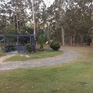 How many animals in this mixed enclosure ;)