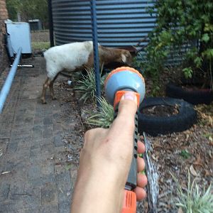 This won’t hurt a bit