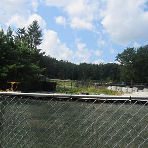 Pride of Africa Construction Update