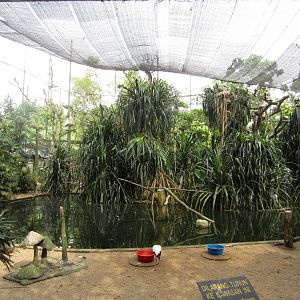 Walk-in Waterbird Aviary