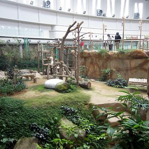 Panda Enclosure