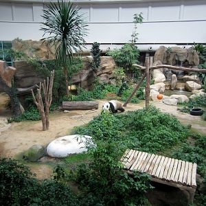 Panda Enclosure