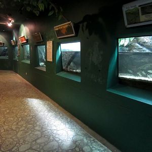 Aquarium