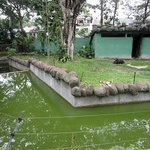 Brown Bear enclosure and moat