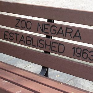 Bench - Hix was also established in 1963