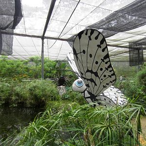 Interior of Butterfly House