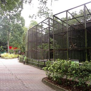Cages and Aviaries