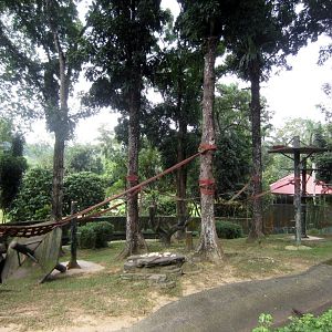 Orang exhibit