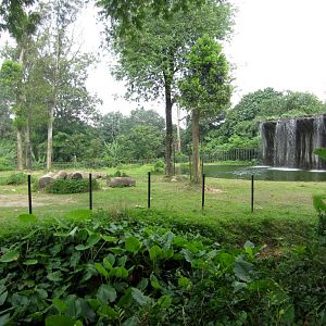 Asian Elephant exhibit