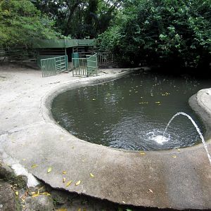 Hippo Pool