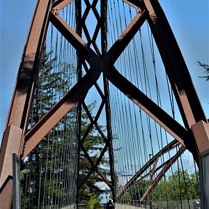 Coyote Creek Bridges