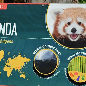 Red Panda Signage