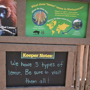 Red Ruffed Lemur Signage