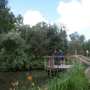 Monkey Islands at Beauval, 12/06/18