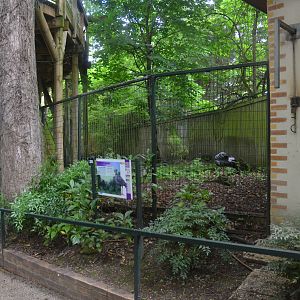 Crested Screamer Enclosure at Beauval, 12/06/18