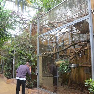 Marmoset and Tamarin Indoor Enclosures at Beauval, 12/06/18