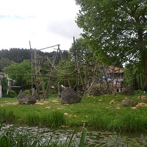 Orang and Gibbon Enclosure at Beauval, 12/06/18