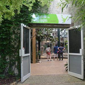 Ape House and Vivarium Entrance at Beauval, 12/06/18